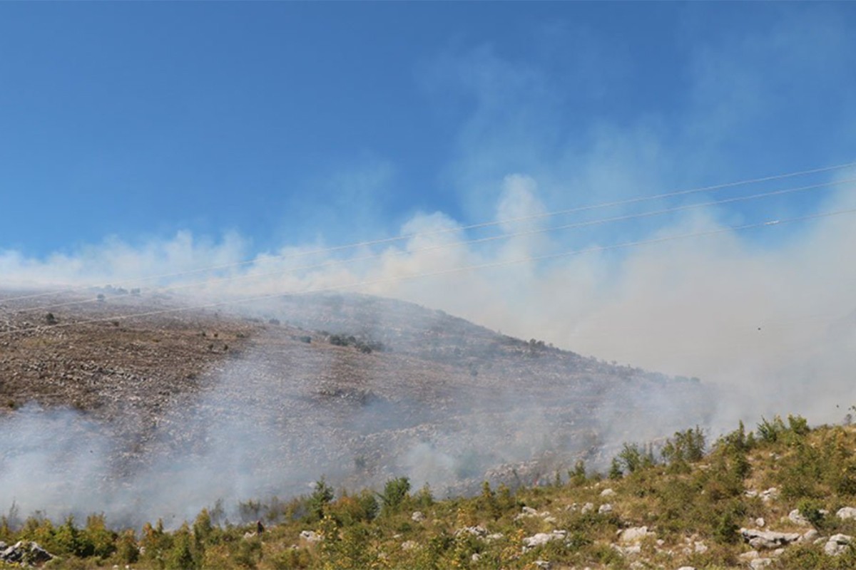 Ugašen šumski požar u Gornjem Raševu