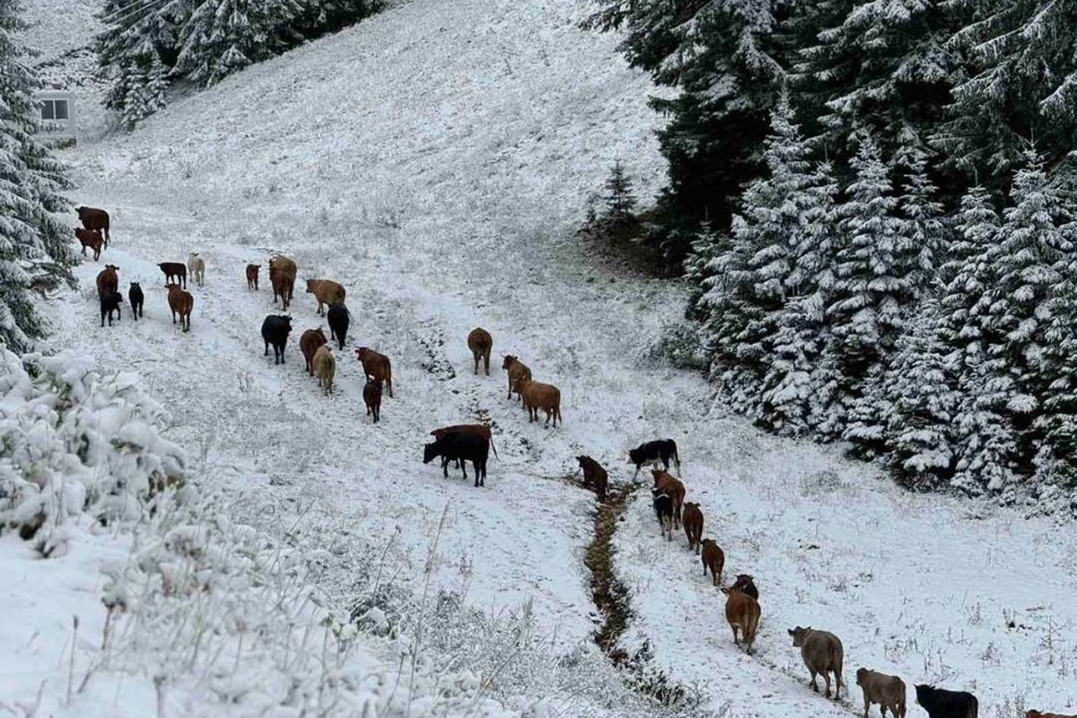 OC "Jahorina": Prvi snijeg najavljuje uspješnu zimsku sezonu