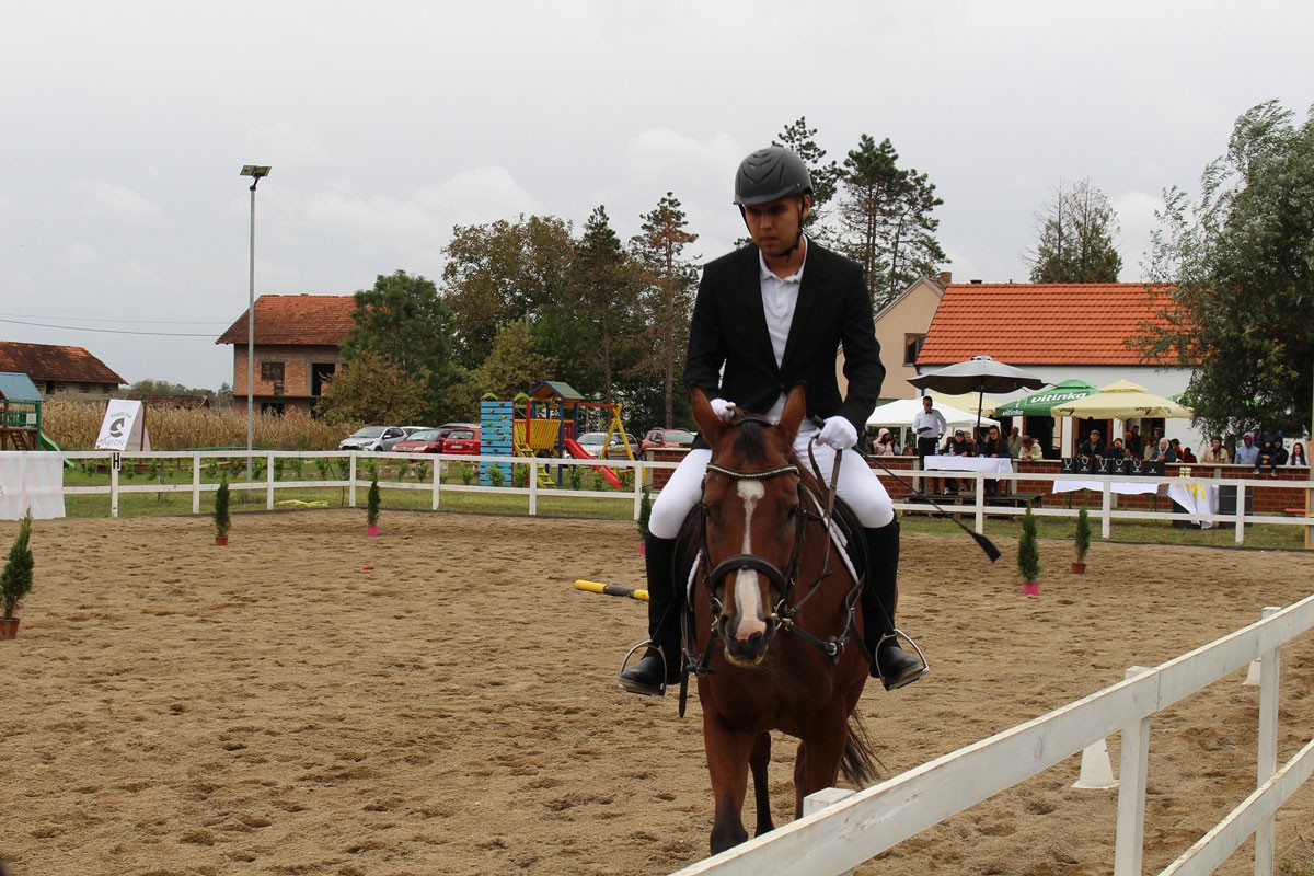 Konjički sport u Romanovcima (FOTO)