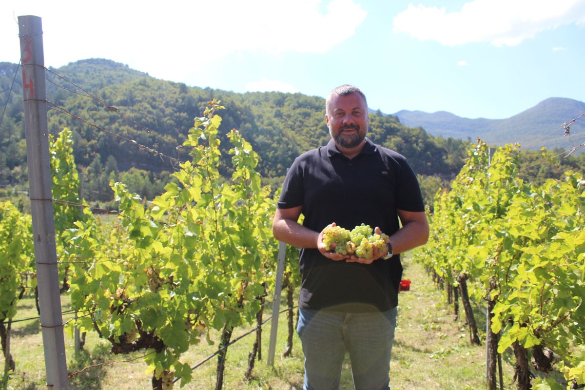 "Podrumi Vukoje" obilježili početak berbe Carskih vinograda