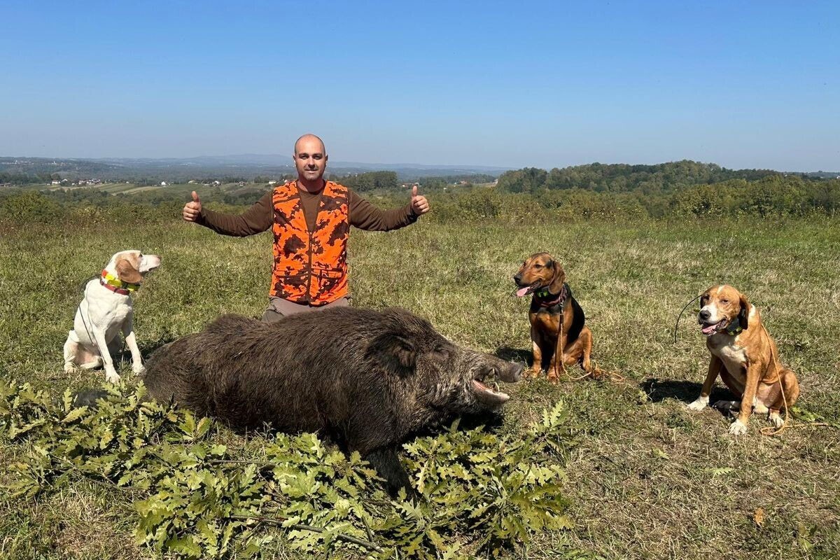 Odstrijelio vepra teškog skoro 200 kg