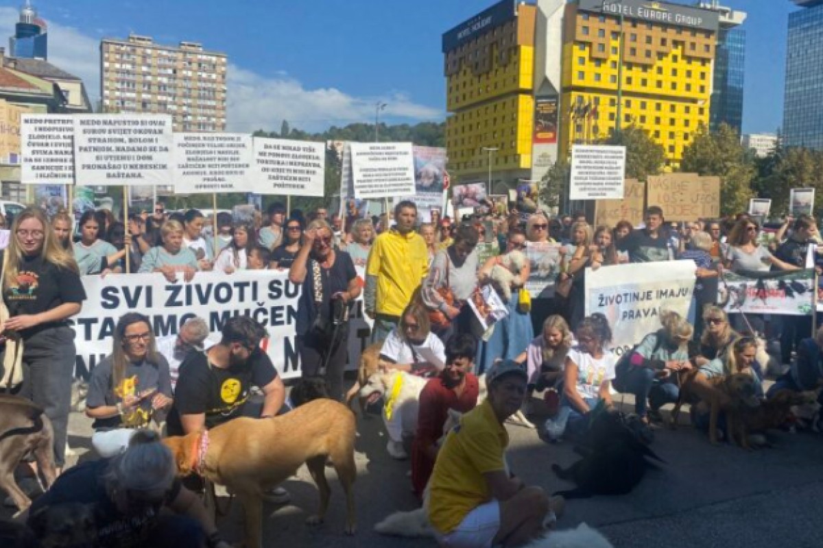 U Sarajevu protesti zbog surovo ubijenog Mede