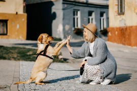 Da li znate koliko dugo treba da šetate psa?