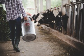 Mljekara prekinula saradnju sa trgovačkim lancem, traže pravedne cijene za farmere