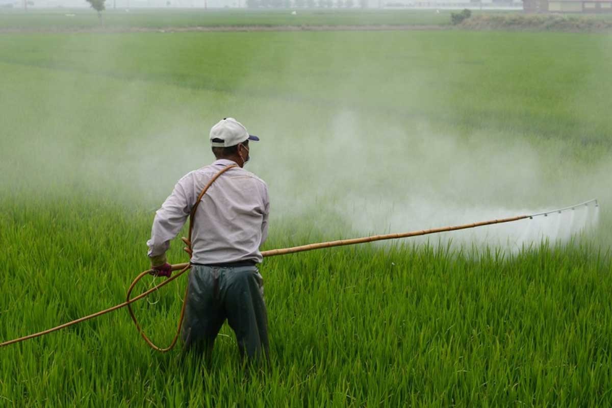 Koliko su pesticidi zaista kancerogeni