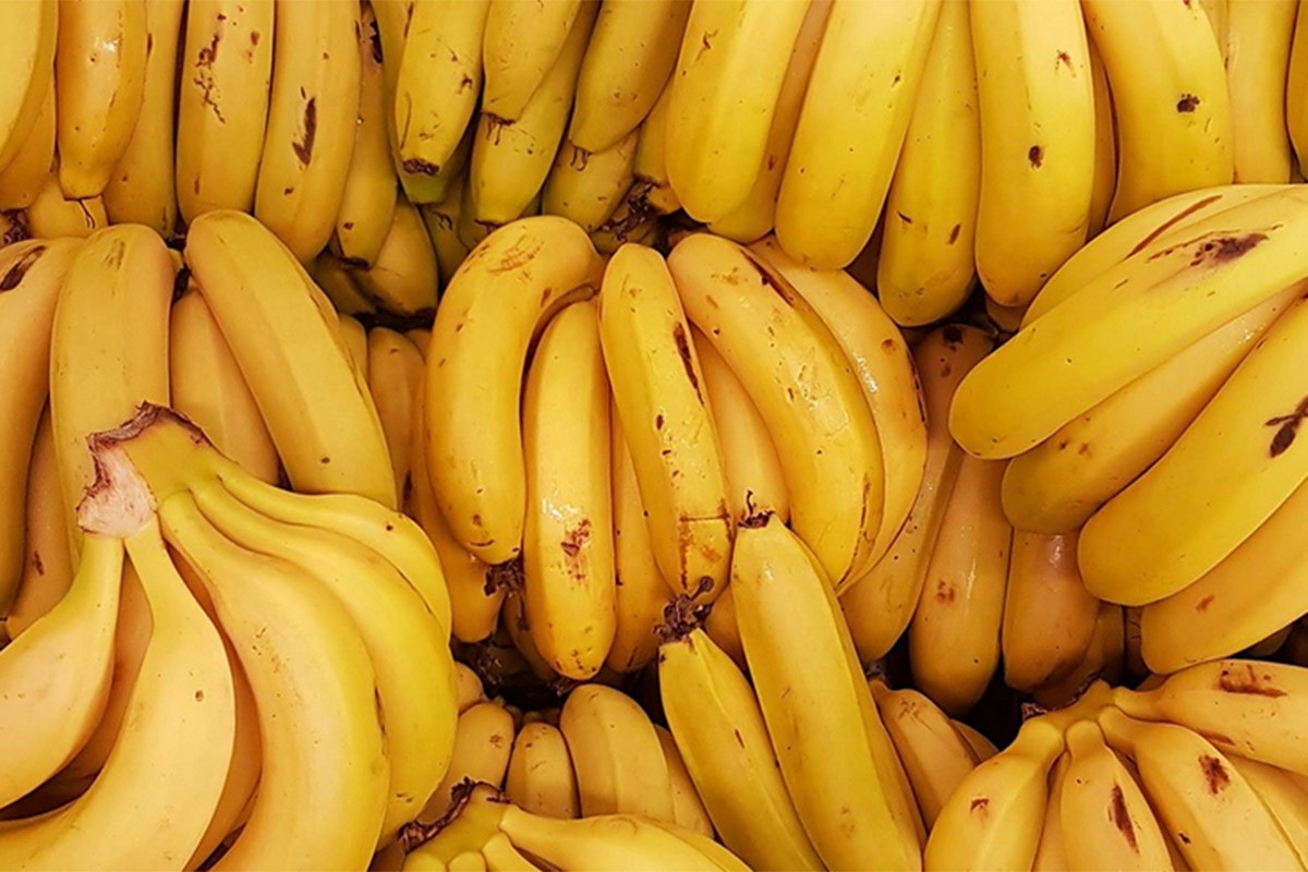 U banane sakrili 334 kilograma kokaina