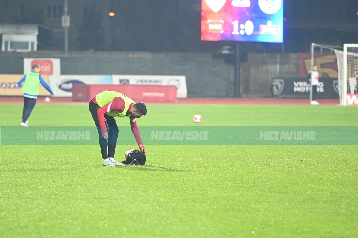 Nezvani gost na Gradskom stadionu (FOTO, VIDEO)