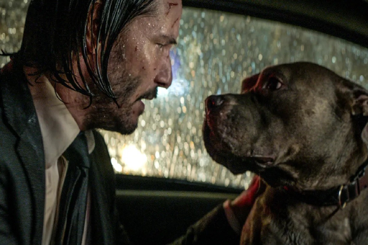 Stahelski o "John Wick 5" filmu: Ne možemo prestati razmišljati o Viku