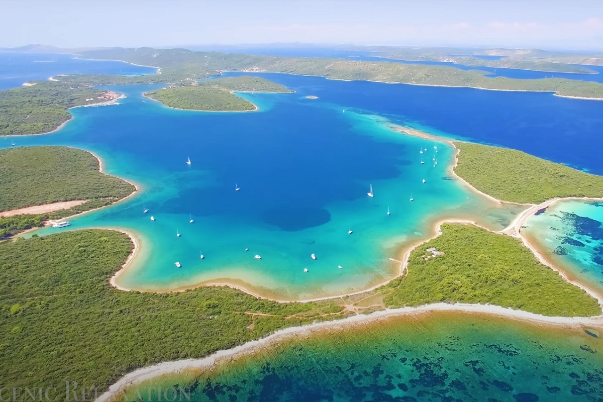 Najezda otrovnih riba u Jadranskom moru, biće ih sve više