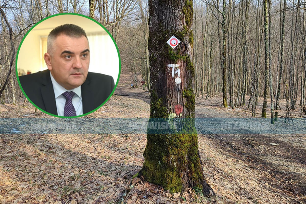 Minić: Mnogi radnici "Šuma Srpske" alergični na list i drvo