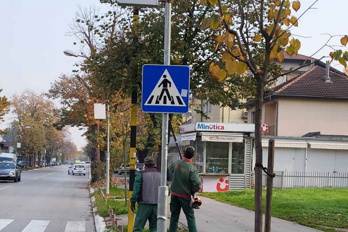 Za bolju vidljivost: Orezivanje grana oko saobraćajne signalizacije