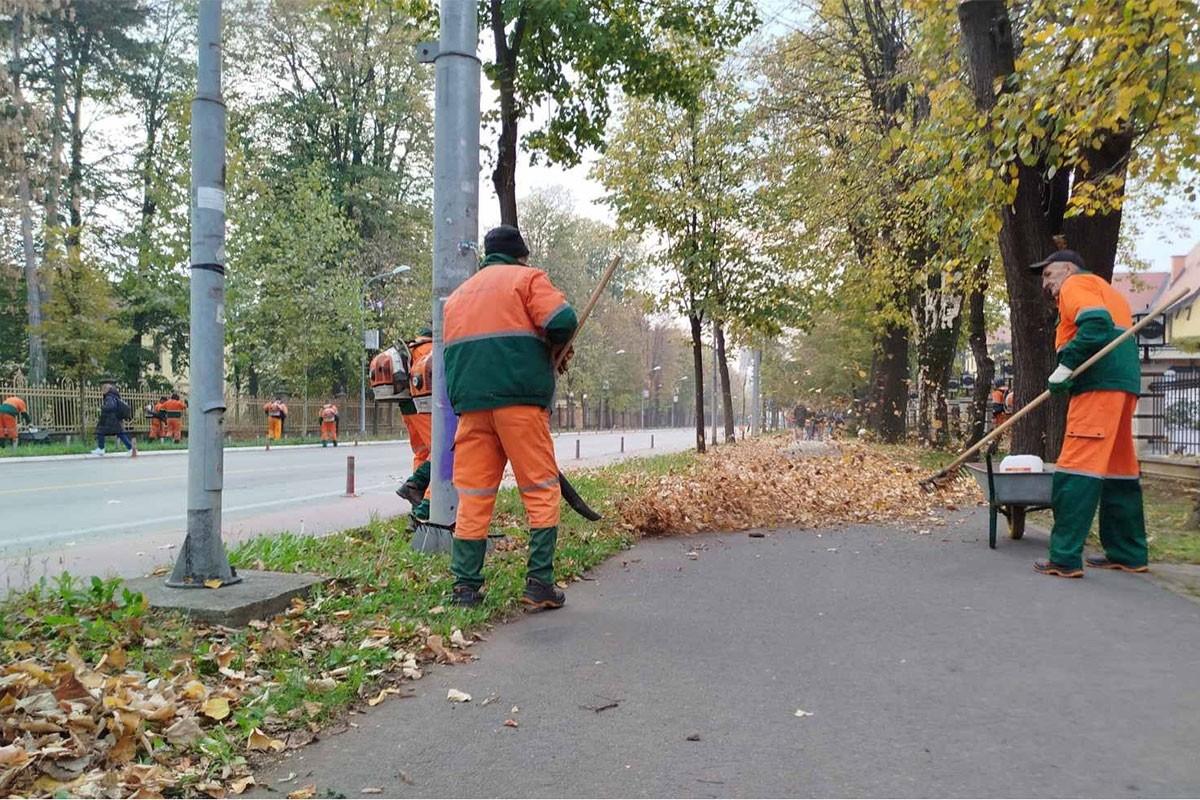 Prikupljaju lišće sa javnih površina