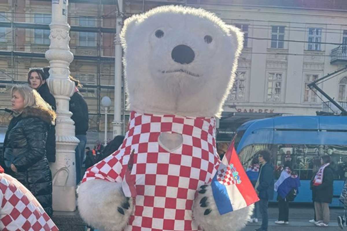 Na dočeku rukometaša snimljen i - polarni medo (FOTO)