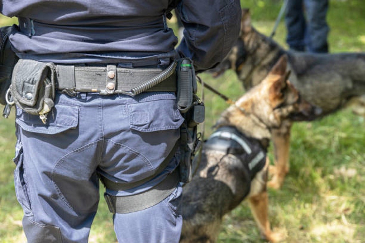 Nova prijetnja školi u Zagrebu: Policija s psima sve istražuje