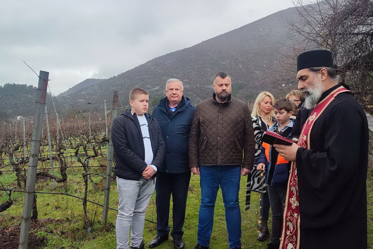 Rezidba u Podrumima "Vukoje": Sveti Trifun nagovještava dobru godinu