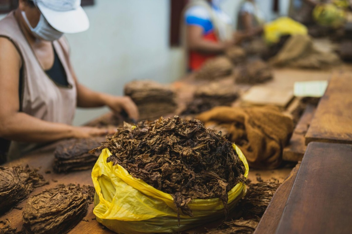 British American Tobacco pod istragom: U Keniji nestalo 28 miliona dolara poreza?