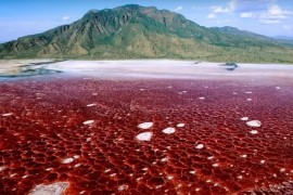 Najopasnije jezero na svijetu: Živa bića pretvara u kamen (VIDEO)