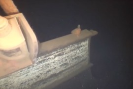 Pronađen brod koji je nestao prije 132 godine (VIDEO)