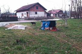 Pas ugrizao djevojčicu u Banjaluci, mještani ogorčeni zbog ilegalnog azila (FOTO)