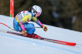 Loš nastup Elvedine Muzaferije