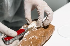 Bogat ulov njemačke carine: Državljani BiH "pali" sa šest kilograma kokaina