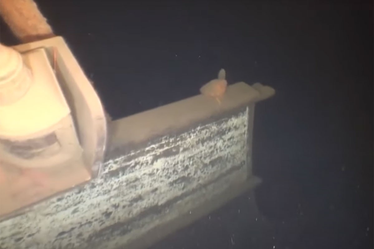 Pronađen brod koji je nestao prije 132 godine (VIDEO)