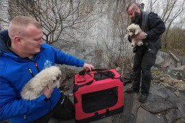 Spasavanje života: Ekipa Brune Jelovića daje novu nadu za pse ...