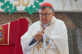 Kardinal Puljić otkrio da li ide u Rim i ko mu je favorit za novog papu