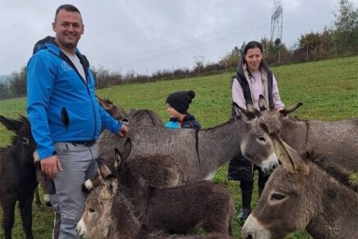 Kupili djeci magarca: Sada im farma donosi zaradu