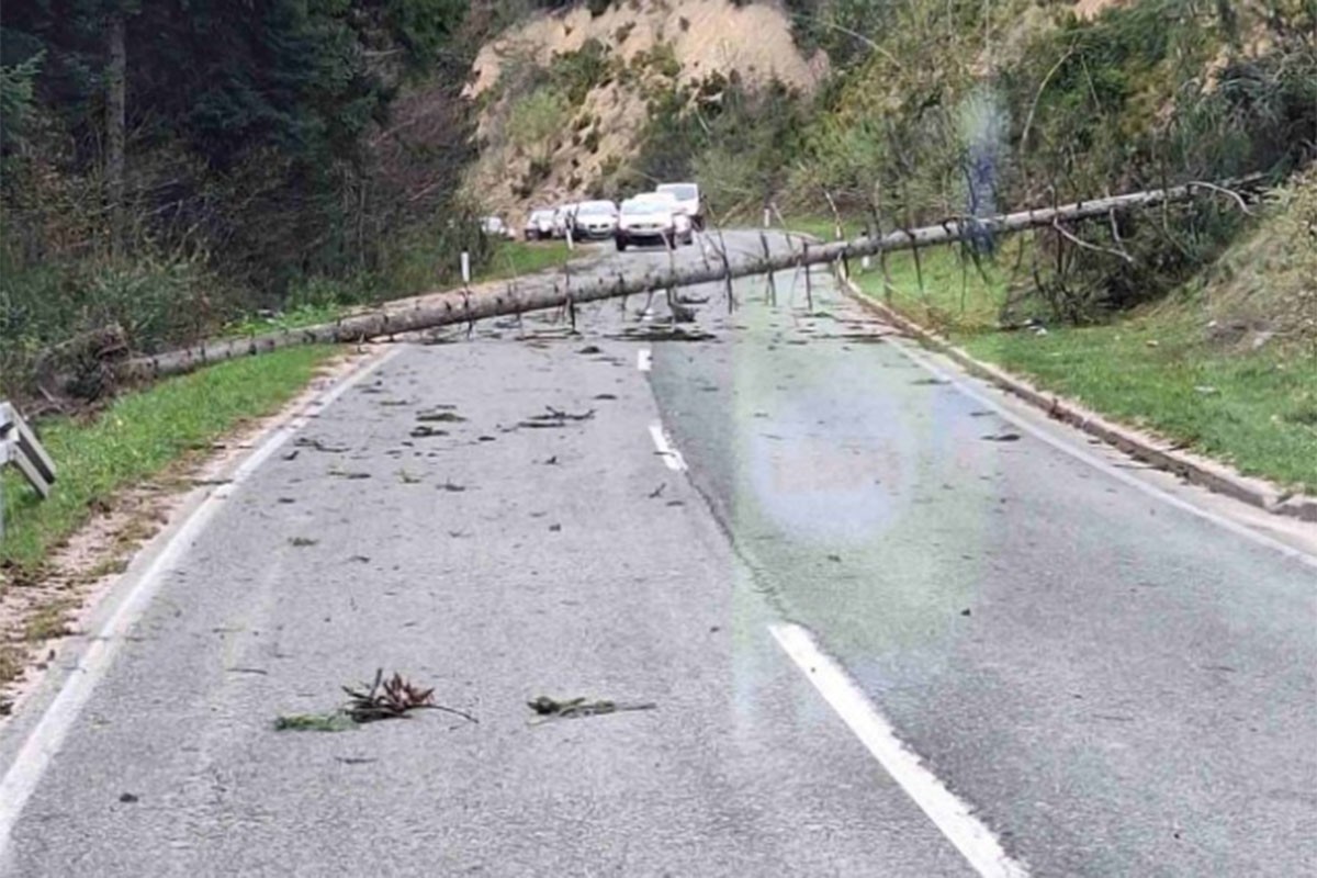 Srušilo se nekoliko stabala na putu Banjaluka-Čađavica