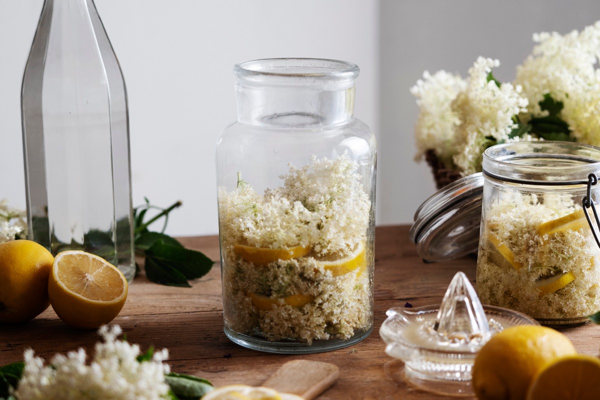 Starinski recept za sirup od zove