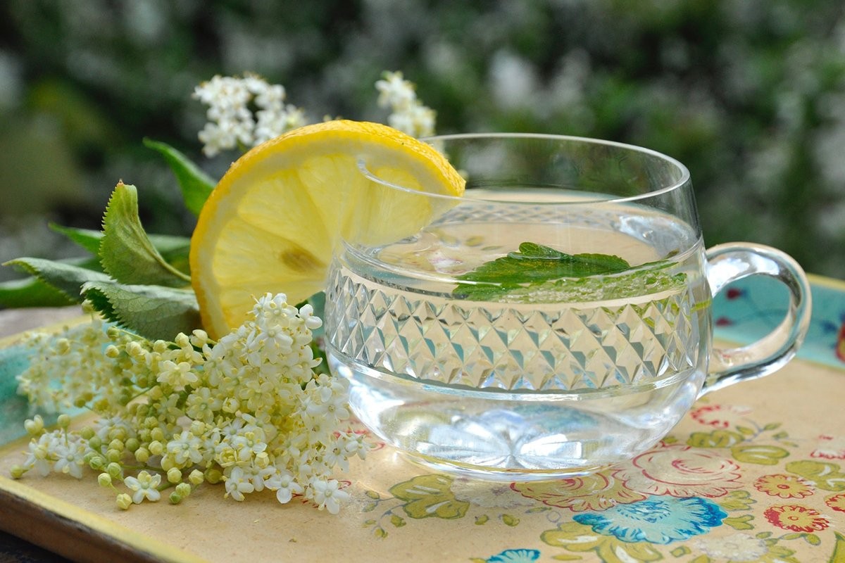Sok od zove: Domaći recept za sirup s okusom proljeća