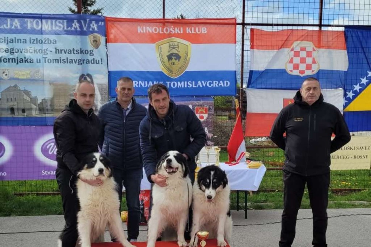 Tornjak Arambaša-Brumbi proglašen najljepšim psom