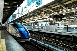 Zmija zaustavila najfrekventniju liniju u Japanu
