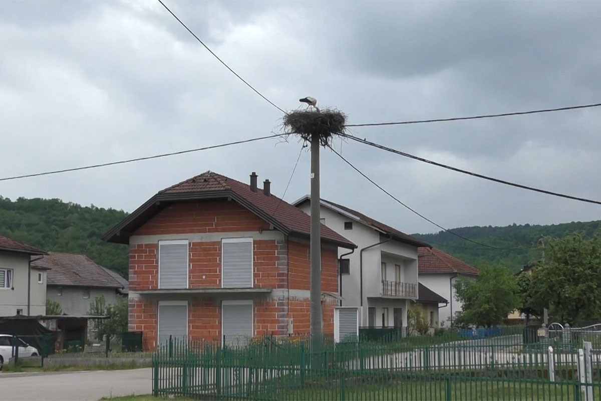 Mještani i ptice žive u harmoniji: Rode postale ljubimci cijelog Donjeg Kamengrada