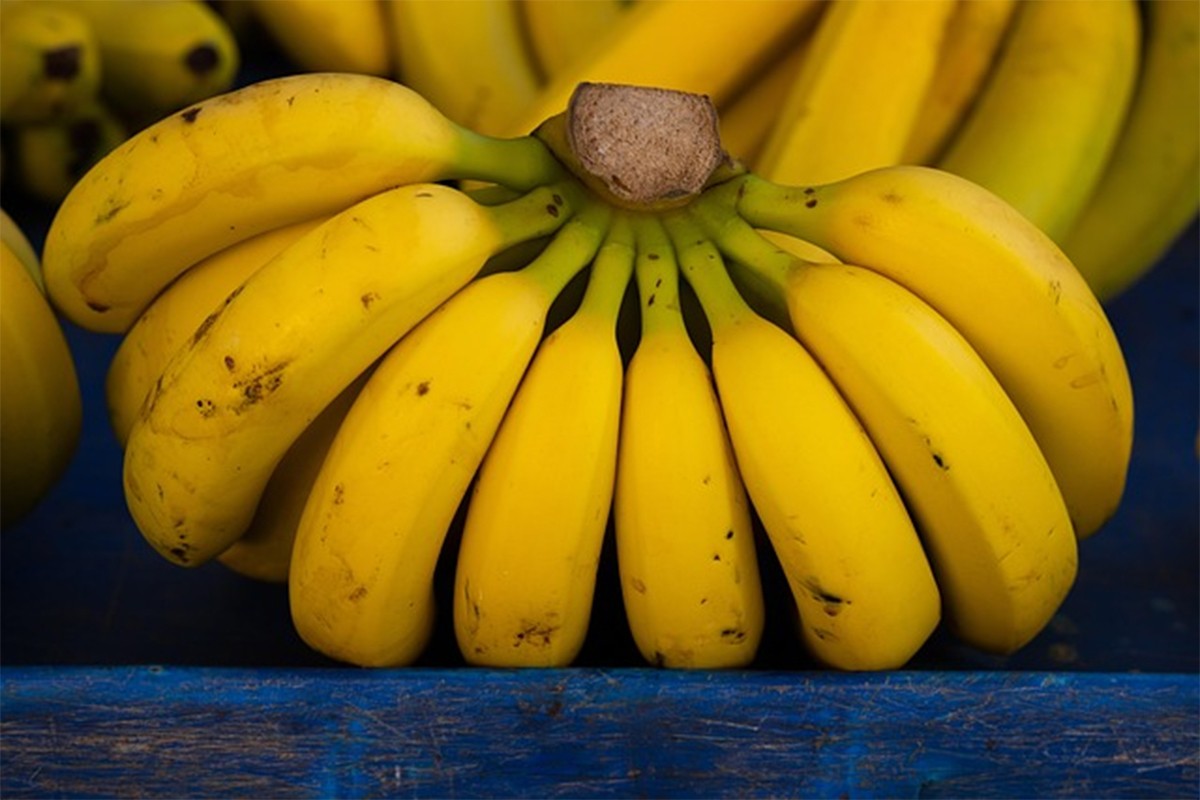 Klima uništava banane, u riziku 80 odsto svjetskog izvoza