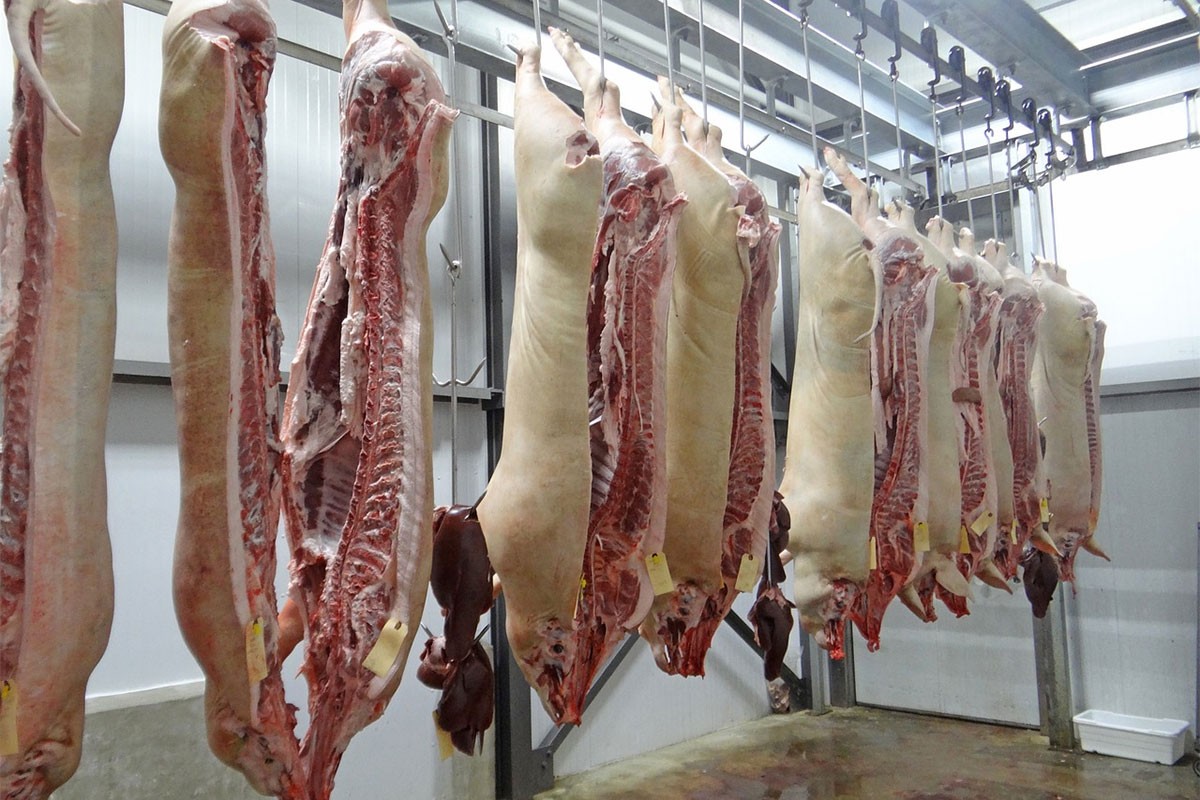 Ruski naučnici predložili izradu mesa pomoću 3D štampača