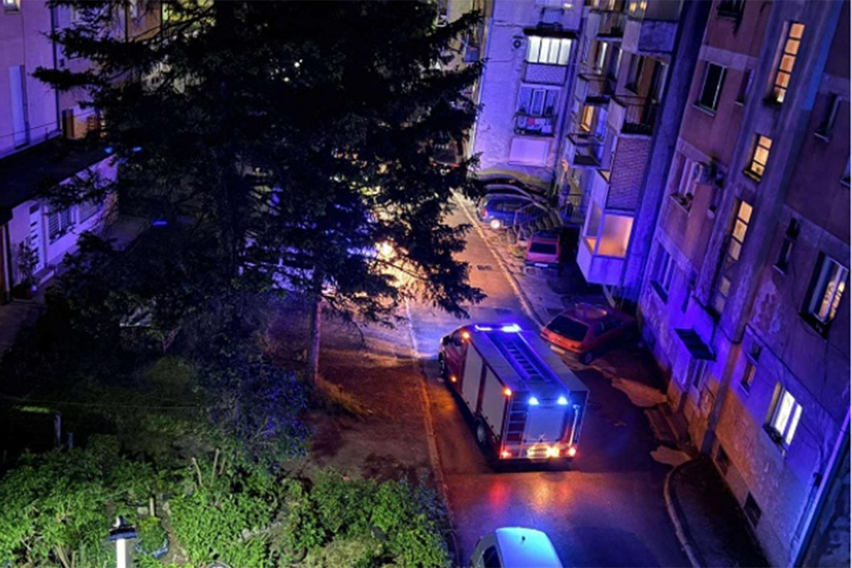 Drama u Konjicu: Poskok ušao u stan