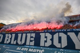 Vic dana: Dinamo